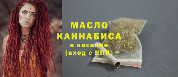 хмурый Верея