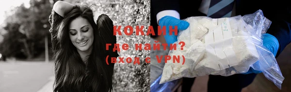 прущие грибы Белая Холуница