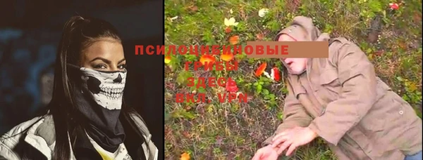 МДПВ Волоколамск