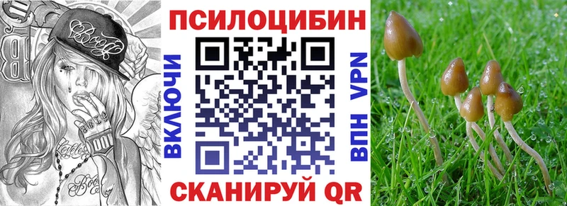 Псилоцибиновые грибы ЛСД  купить наркотик  Жердевка 